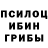 Псилоцибиновые грибы прущие грибы NAGIB_2016_2016