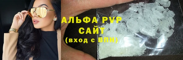 прущие грибы Вяземский