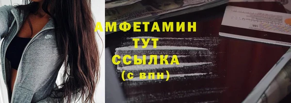 прущие грибы Вяземский