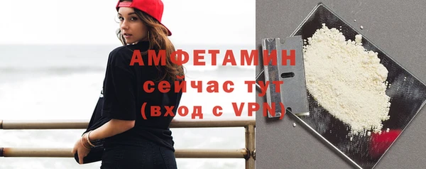 прущие грибы Вяземский