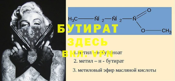 прущие грибы Вяземский