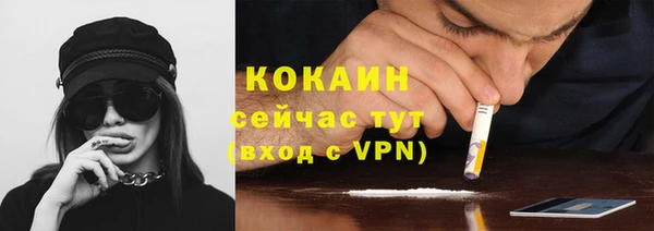 индика Вязьма
