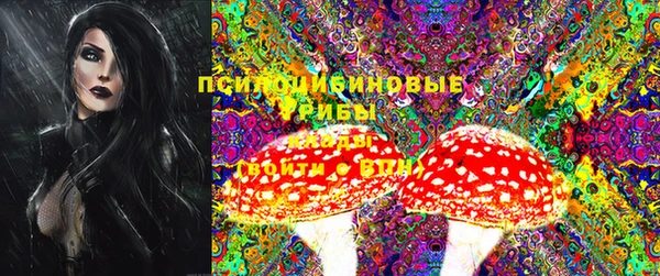 прущие грибы Вяземский