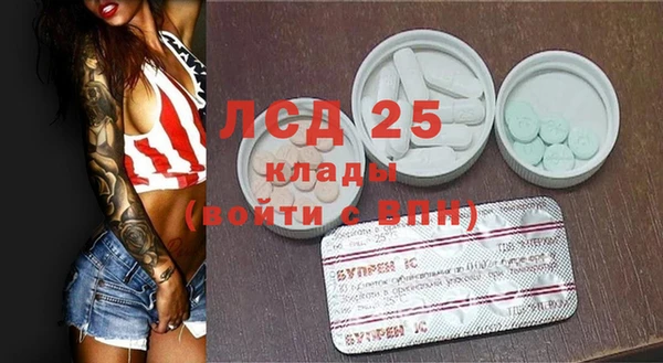 индика Вязьма