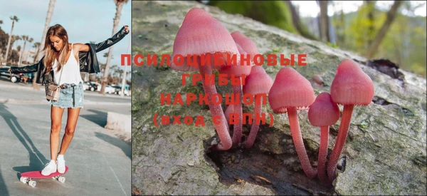 прущие грибы Вяземский