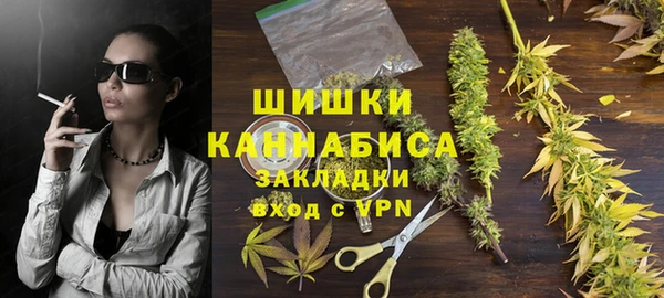 индика Вязьма