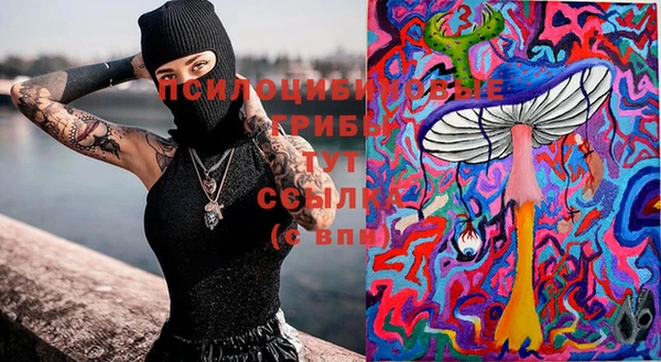 индика Вязьма