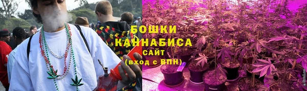 индика Вязьма