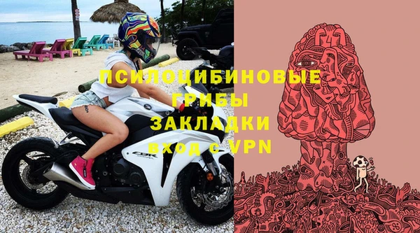 молекула духа Вязники