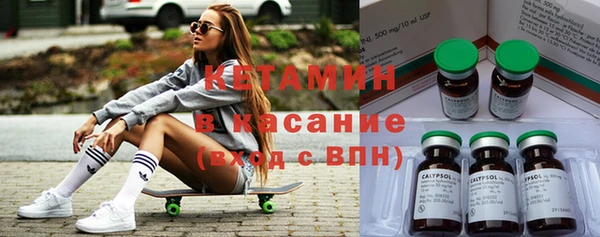 прущие грибы Вяземский