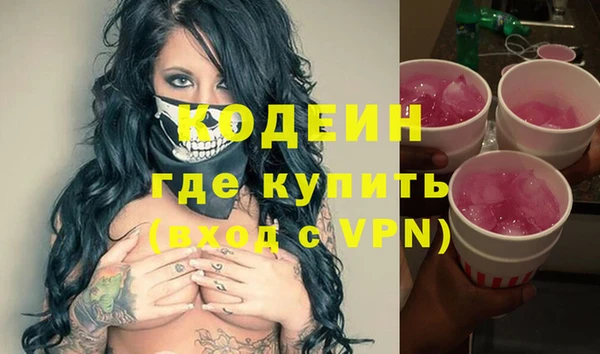 индика Вязьма