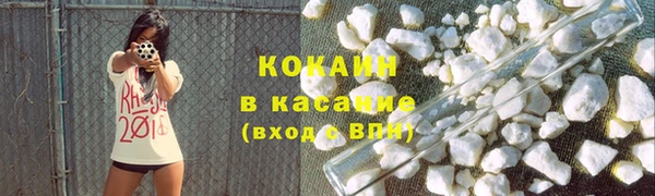 индика Вязьма