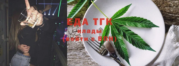 индика Вязьма
