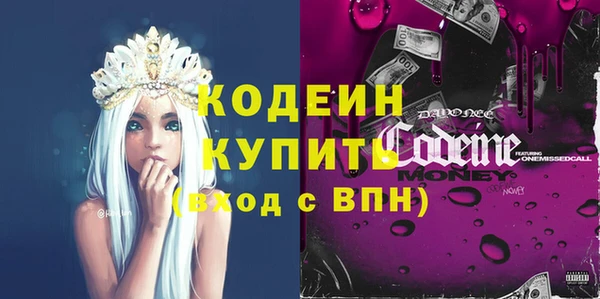 прущие грибы Вяземский