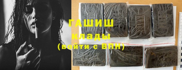 индика Вязьма