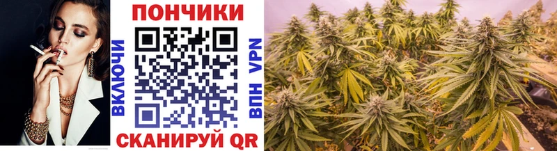 Купить где  Болгар  МАРИХУАНА Ganja 